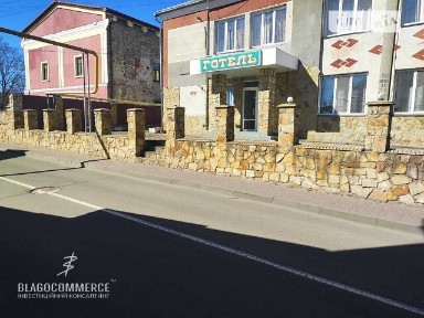 Продаж спеціального приміщення на провулок Соборний, площа 487.9 кв. м • ID 33290279