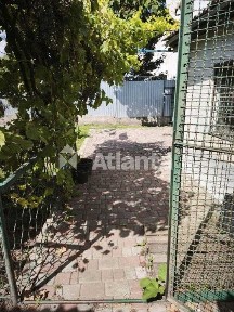 Продам Дом в Александровке. Большой участок. Место для Авто