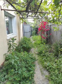 Дніпропетровська область, Дніпро, Амур-Нижньодніпровський