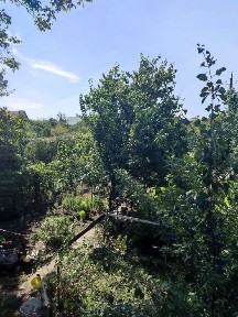Продаж Дачі Довгінціво село Незалежно