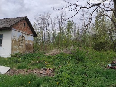 Продаж 1 поверхового будинку з ділянкою на 25 соток, 29.2 кв. м, 2 кімнати, на вул. Механізаторів 24 • ID 34819663