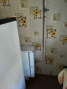 Продам дом в Диевке с большим участком 16 соток
