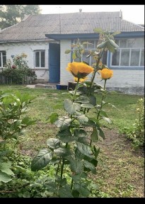 Продам будинок хутір Тарасівка Кагарлицький район.