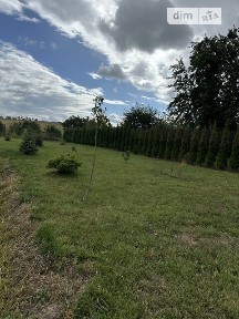 Центральна вулиця, Тиранівка, вул. Центральна 4Б, 4 кімнати, спальних місць - 8 34823403