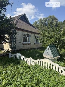 Шамраївка, Лісова 29, 4 кімнати 34653678