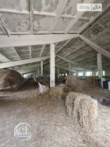 Продаж спеціального приміщення на вул. Братів Тернових, площа 15000 кв. м • ID 34753142