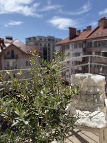 Продаж квартири «з душею» поряд з парком