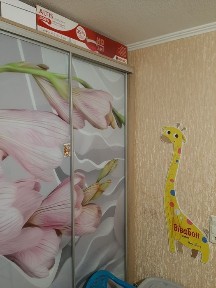 Квартира 1 кімнатна