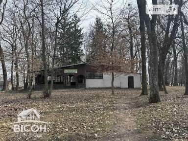 Продаж спеціального приміщення на вул. Д. Вишнівецького, площа 172.3 кв. м • ID 34112172