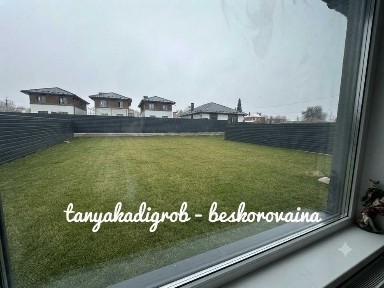 Київська область, Шевченкове