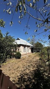 ПРОДАЖ затишного будинку з великою ділянкою (25 соток) і молодим садом у с. Погреби