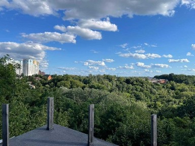 Київська область, Київ, Голосіївський