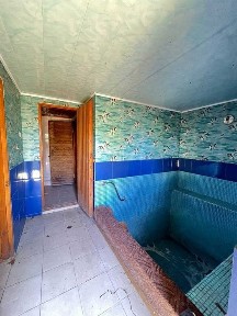 Будинок з готовим бізнесом в Гришківцях