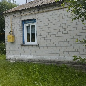 Продам будинок в с. Васильки