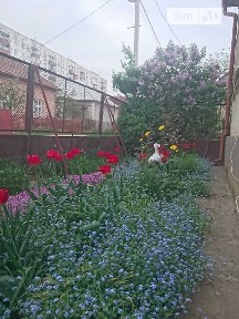 Довгострокова оренда будинку від власника на вул. Василя Комендаря • ID 34826838