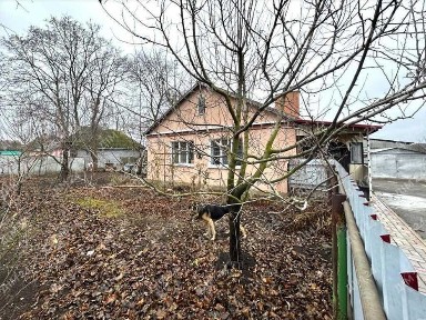 Полтавська область, Базилівщина