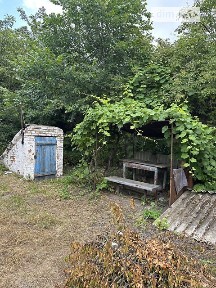 Васильків, Центрова • ID 34829676