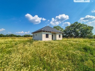Продаж 1 поверхового будинку з ділянкою на 16 соток, 100 кв. м, 4 кімнати, на Лугова • ID 34827317
