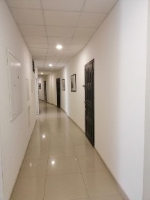 Сдам с Ноября студия в Кадоре