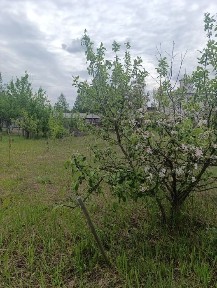 Дачна ділянка з будиночком, електрика, криниця, свердловина, ліс, озеро