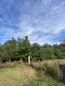 Продаж будинку 44 м. кв. с. Панчищини, ділянка 49 соток, 12500$