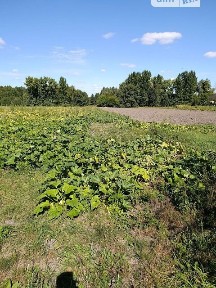 Продаж 1 поверхового будинку з ділянкою на 57 соток, 73 кв. м, 5 кімнат, на вул. Лесі Українки • ID 34831856