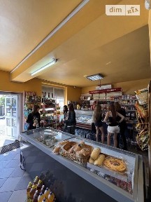 Здається комерційне приміщення на вул. Центральна, площа 500 кв. м • ID 34833173