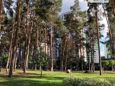 вулиця Університетська, 3/6, Ірпінь, вул. Університетська 3/6 34830663