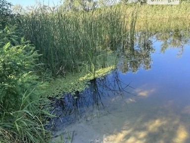 Довгострокова оренда будинку, від посередника на вул. Київська • ID 34835483