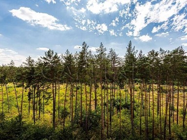 Продаж 2к квартири 109.7 кв. м на вул. Ідейна 7 • ID 34838148