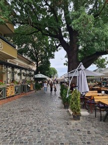 Здається в оренду прлстора і світла квартира у Центральній частині міста поблизу площі Жупанатсьеої