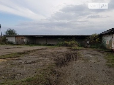 Продаж спеціального приміщення на Січових Стрільців 1, площа 5000 кв. м • ID 34835162