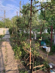 Довгострокова оренда будинку, від посередника на Ланни • ID 34838650