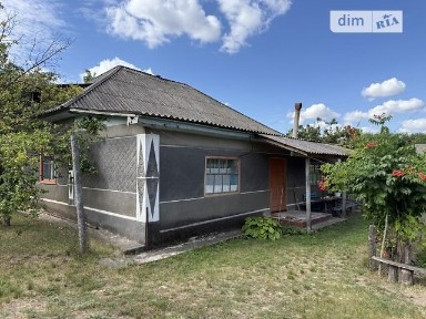 вулиця Миру, Концеба, вул. Миру 34843578
