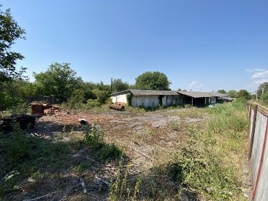 Закарпатська область, Великі Береги