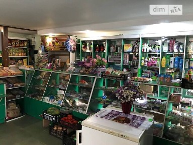 Івана Франка, Іваниківка, Івана Франка 54, площа 40 кв. м • ID 34840942