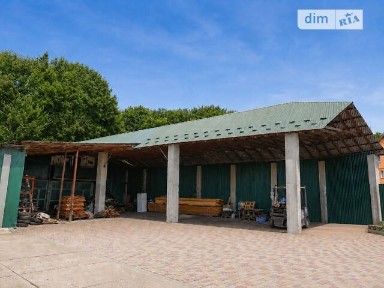 Закарпатська область, Криве