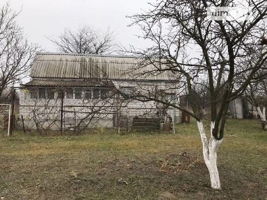 Червона Мотовилівка, Вишневая • ID 34839787