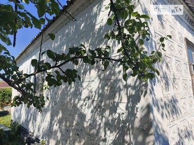 Продаж 1 поверхового будинку 42 кв. м, 2 кімнати • ID 34836021