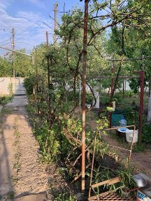 Оренда будинку в Карлівському районі