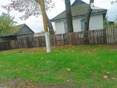Продаж 1 поверхового будинку з ділянкою на 50 соток, 50 кв. м, 2 кімнати, на центральная • ID 34846534