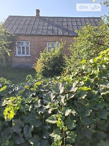 Продаж 1 поверхового будинку з ділянкою на 25 соток, 72.8 кв. м, 3 кімнати, на вул. Приймацька • ID 34844025
