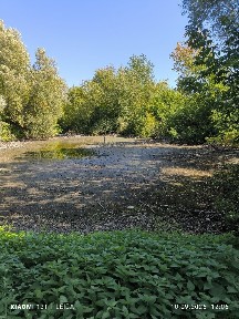 Будинок в Козятині, є відео огляд.