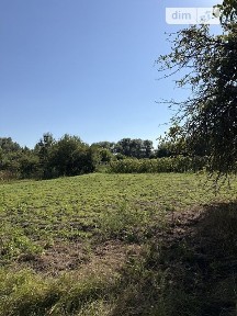 Медведівка, Замостянська 34851949