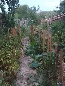 вулиця Антона Турчановича, район Староміський, Вінниця, вул. Антона Турчановича, 1 кімната 34851483