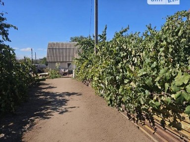 Продаж 1 поверхового будинку з ділянкою на 14 соток, 56 кв. м, 2 кімнати, на вул. Молодіжна • ID 34851405