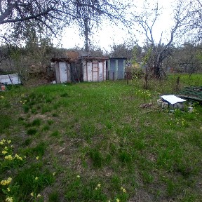 Терміново продам дачу в селі Гута Станіславчицька