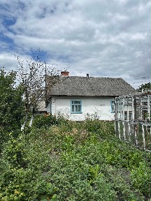 Будинок дерев'яний з господарськими будівлями