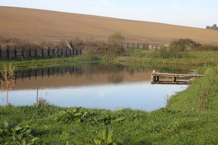 Продаж ставка з будинком с. П'ятничани