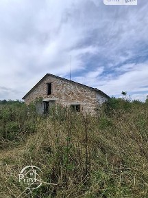 Продаж спеціального приміщення на вул. Братів Тернових 9, площа 830 кв. м • ID 34863786